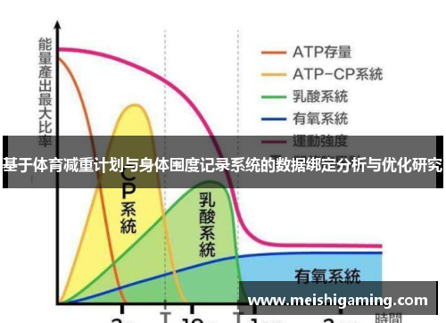 基于体育减重计划与身体围度记录系统的数据绑定分析与优化研究