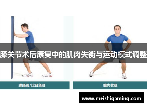 膝关节术后康复中的肌肉失衡与运动模式调整