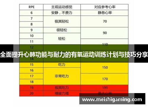 全面提升心肺功能与耐力的有氧运动训练计划与技巧分享